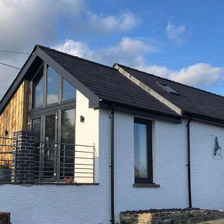 Red Kite Cottage Carmarthen Extérieur photo