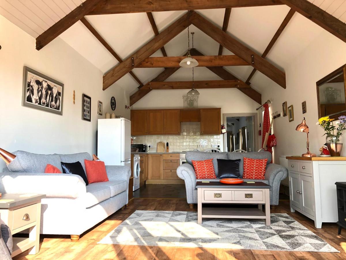 Red Kite Cottage Carmarthen Extérieur photo