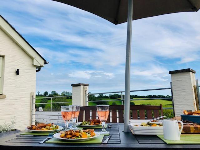 Red Kite Cottage Carmarthen Extérieur photo