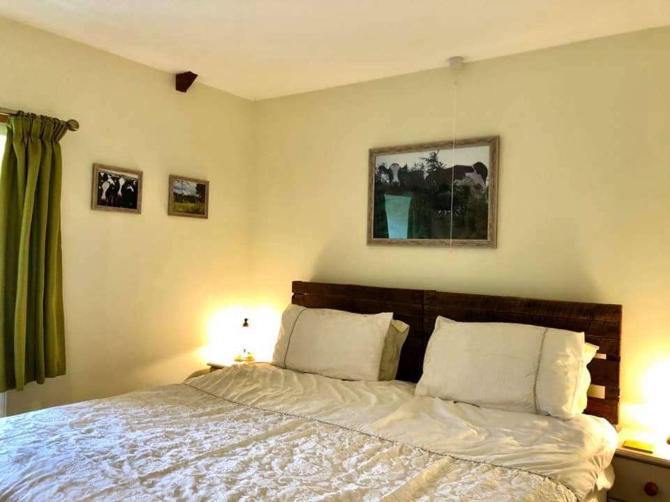 Red Kite Cottage Carmarthen Extérieur photo