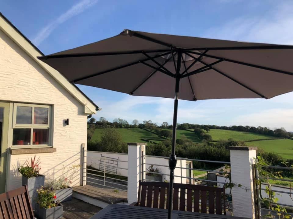 Red Kite Cottage Carmarthen Extérieur photo