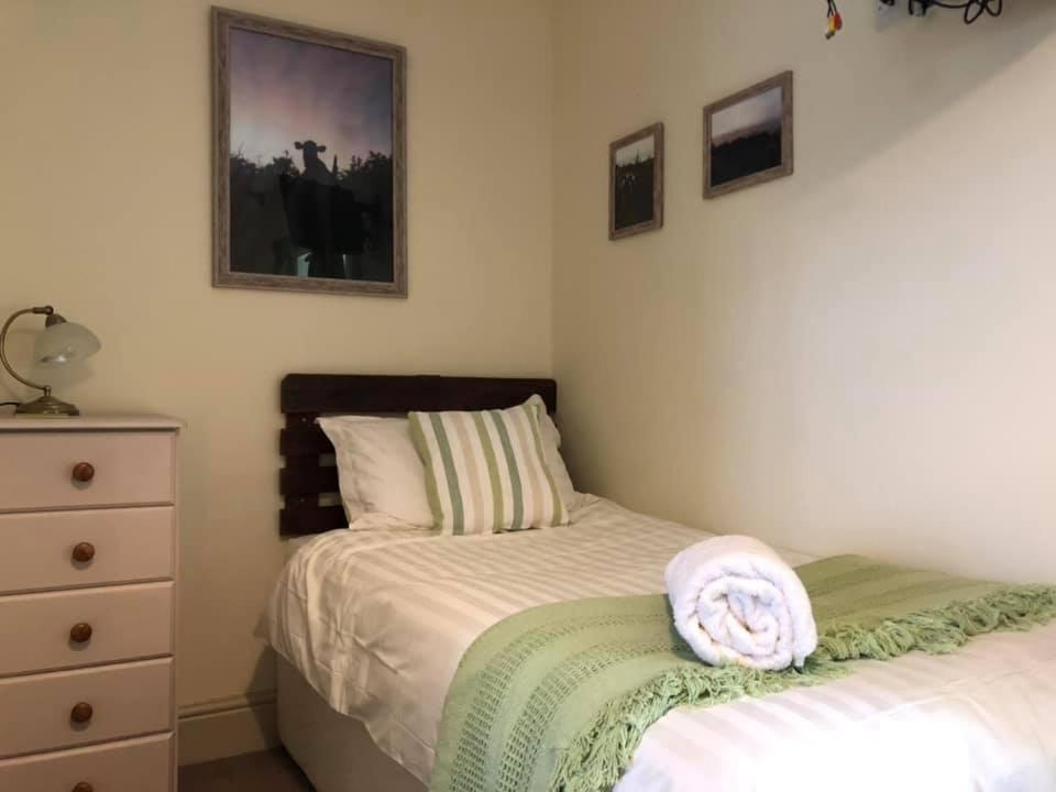 Red Kite Cottage Carmarthen Extérieur photo