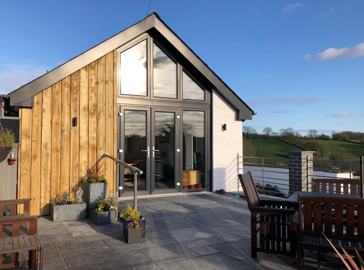 Red Kite Cottage Carmarthen Extérieur photo