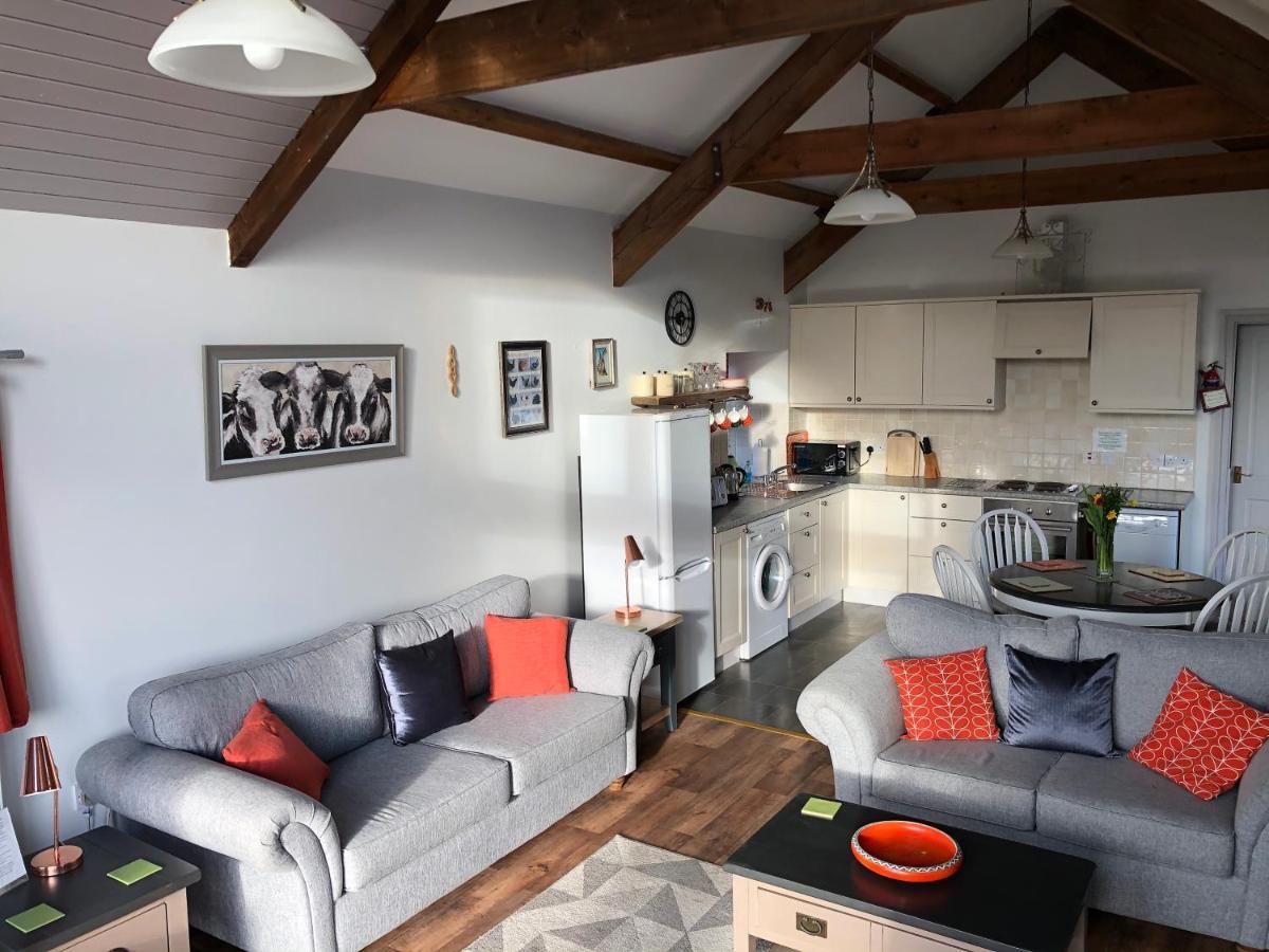 Red Kite Cottage Carmarthen Extérieur photo