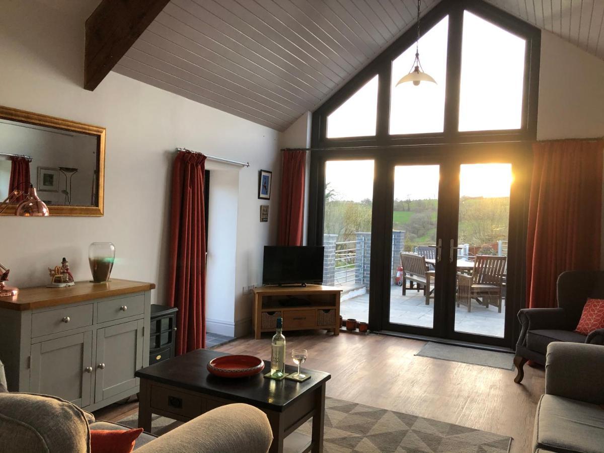 Red Kite Cottage Carmarthen Extérieur photo