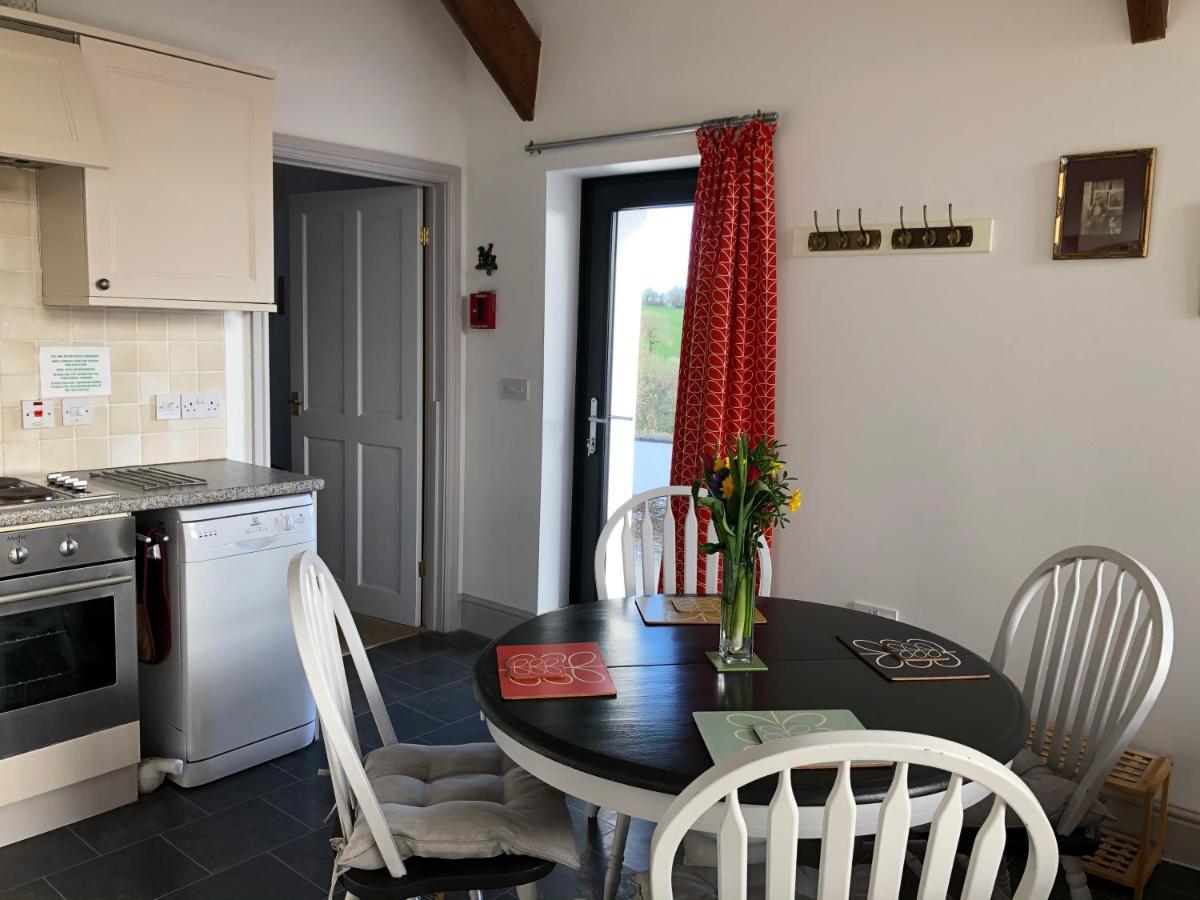 Red Kite Cottage Carmarthen Extérieur photo
