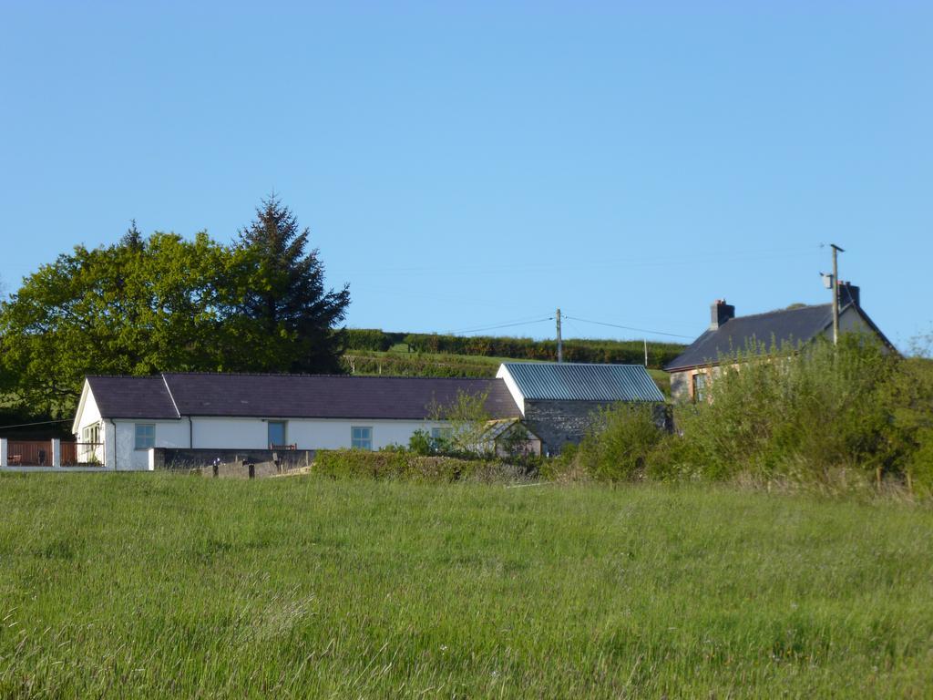 Red Kite Cottage Carmarthen Extérieur photo