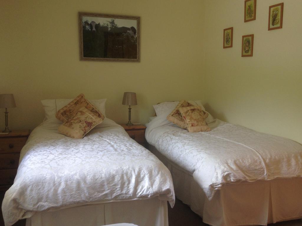 Red Kite Cottage Carmarthen Extérieur photo