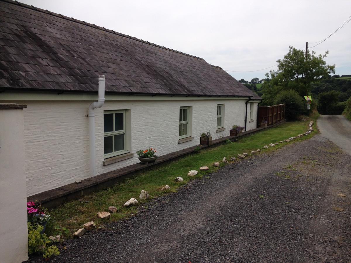 Red Kite Cottage Carmarthen Extérieur photo