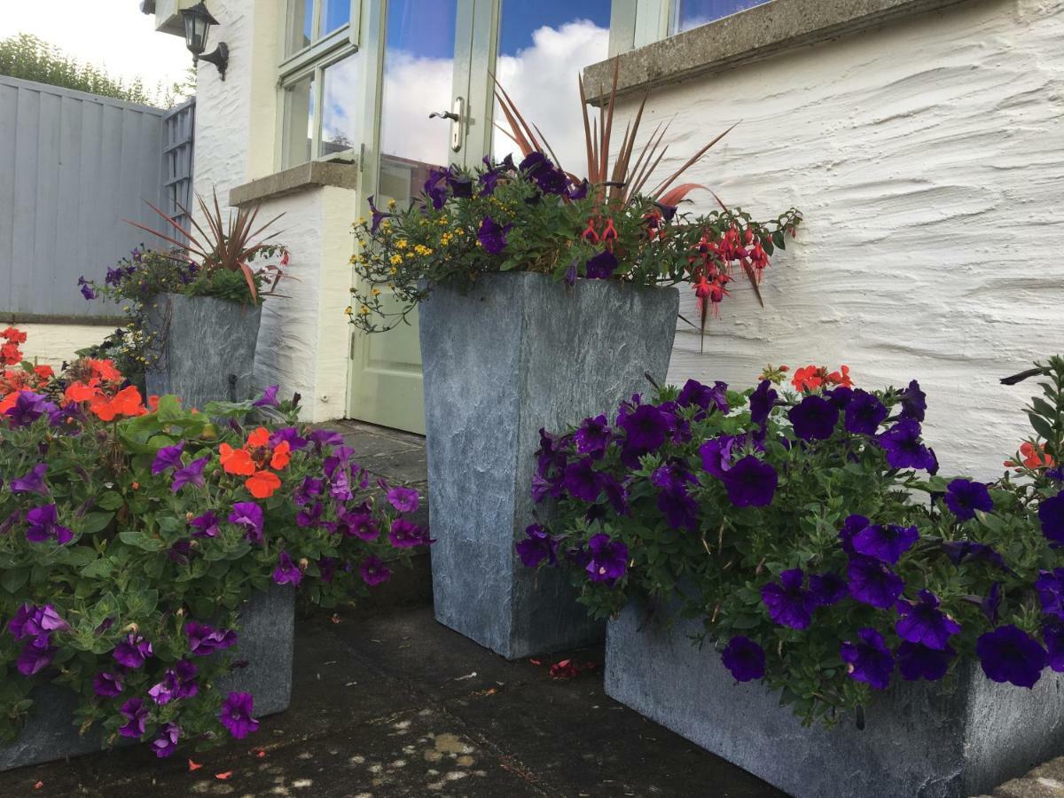 Red Kite Cottage Carmarthen Extérieur photo